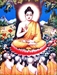 Buddhist teachings and Practice Paths